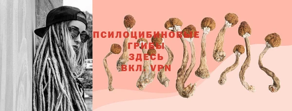 стаф Абинск