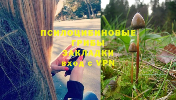 прущие грибы Покров