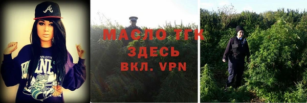 прущие грибы Покров
