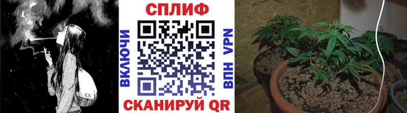 МАРИХУАНА SATIVA & INDICA  купить закладку  Нариманов 